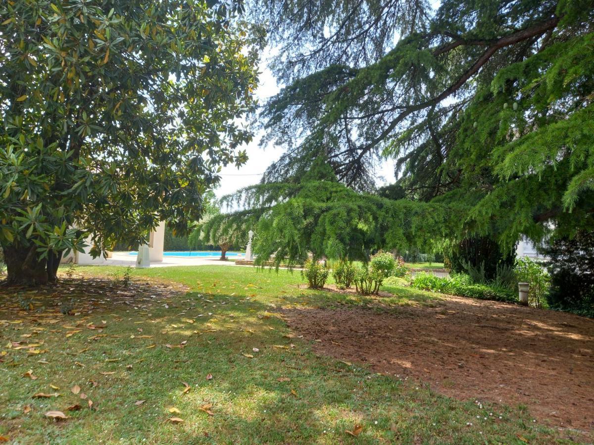 La Maison Basque Sainte-Livrade-sur-Lot Bagian luar foto