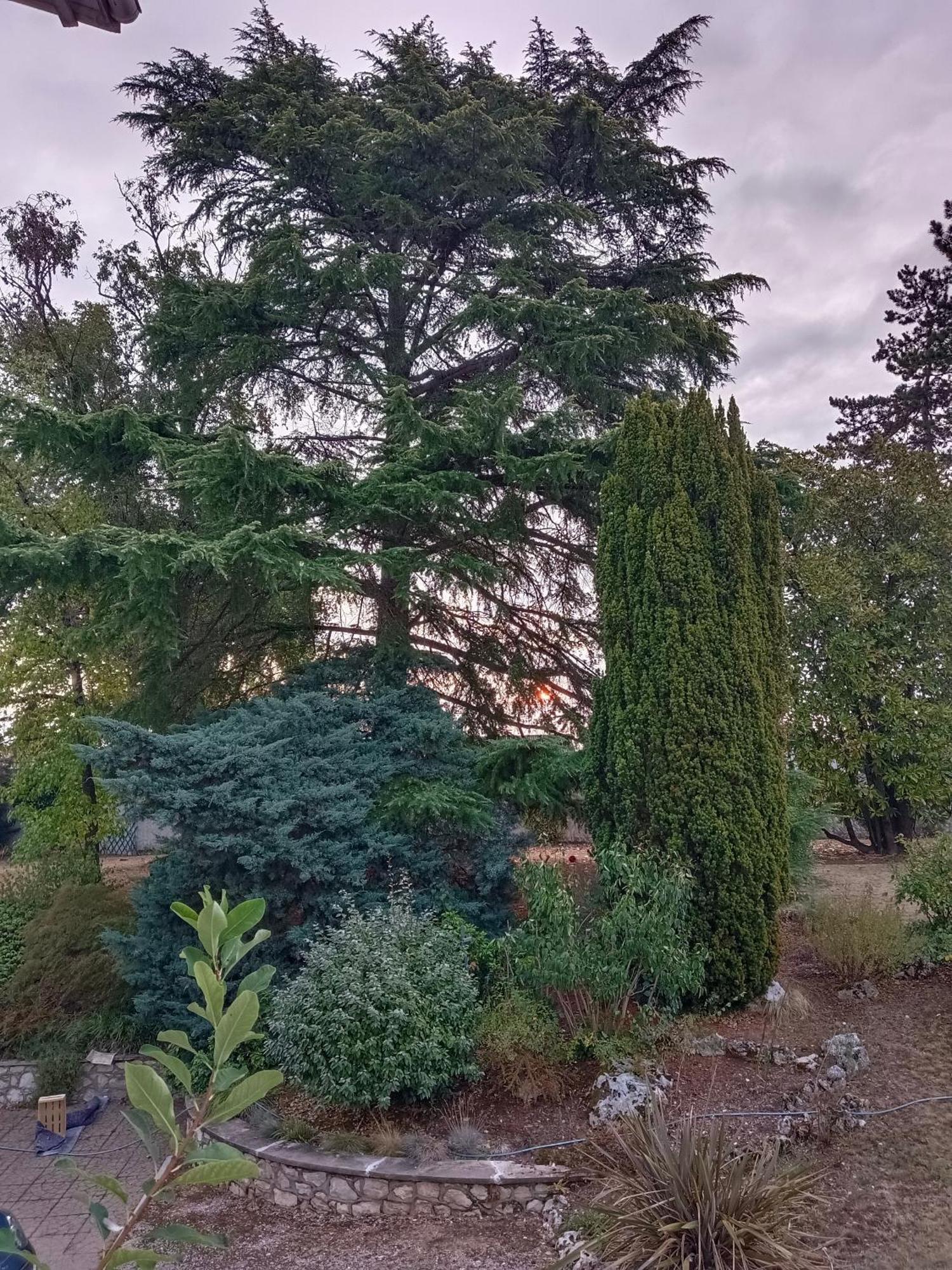 La Maison Basque Sainte-Livrade-sur-Lot Bagian luar foto